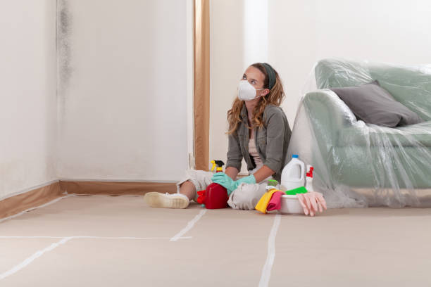 Reliable Mold Removal contractor in Woodbine, NJ by WQB Mold Removal